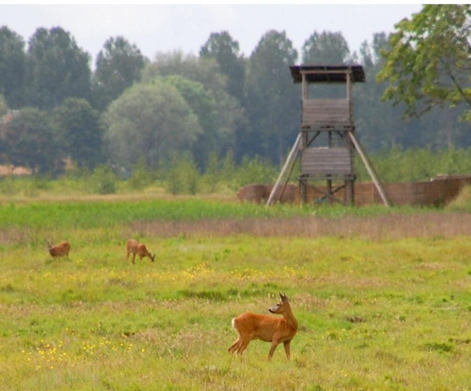 Am Treis Villa Wieringerwerf Buitenkant foto